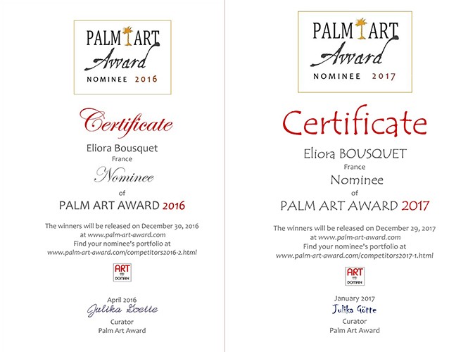 Nomination d eliora bousquet au palm art award 2016 et 2017
